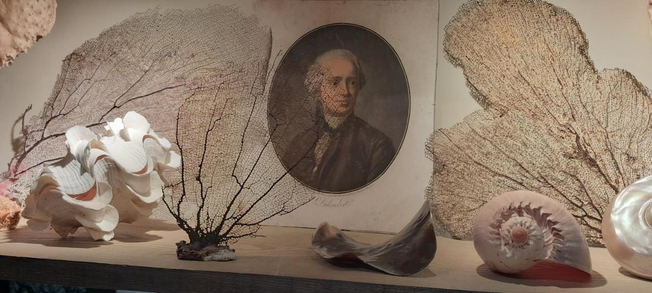 La Chanoinesse Salles-Arbuissonnas-en-Beaujolais Exteriér fotografie